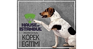 Köpek Eğitimi