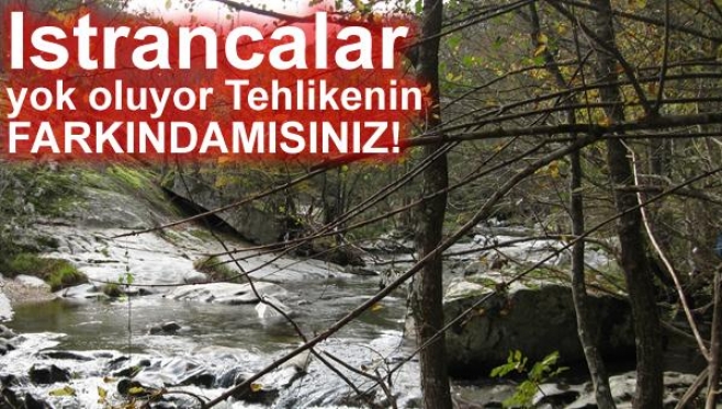 Istrancalar da yaşanan Doğa Katliamı