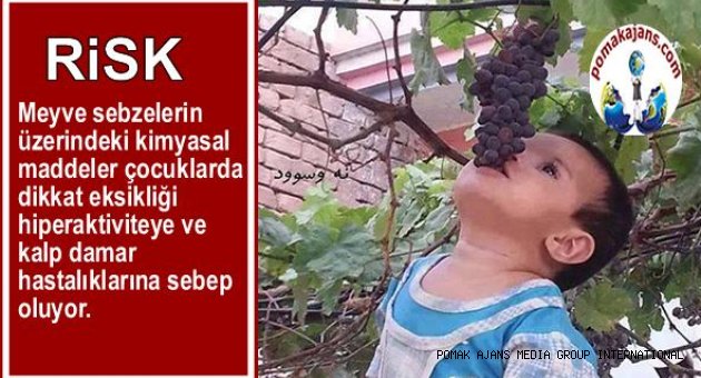 Meyve sebzelerin üzerindeki kimyasal maddeler çocuklarda dikkat eksikliği ve hiperaktiviteye ve kalp damar hastalıklarına sebep oluyor.