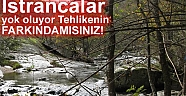 Istrancalar da yaşanan Doğa Katliamı