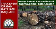 TRAKYA’DA ORMAN KATLİAMI BAŞLADI