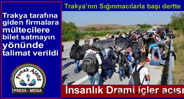 Trakya’nın Sığınmacılarla başı dertte